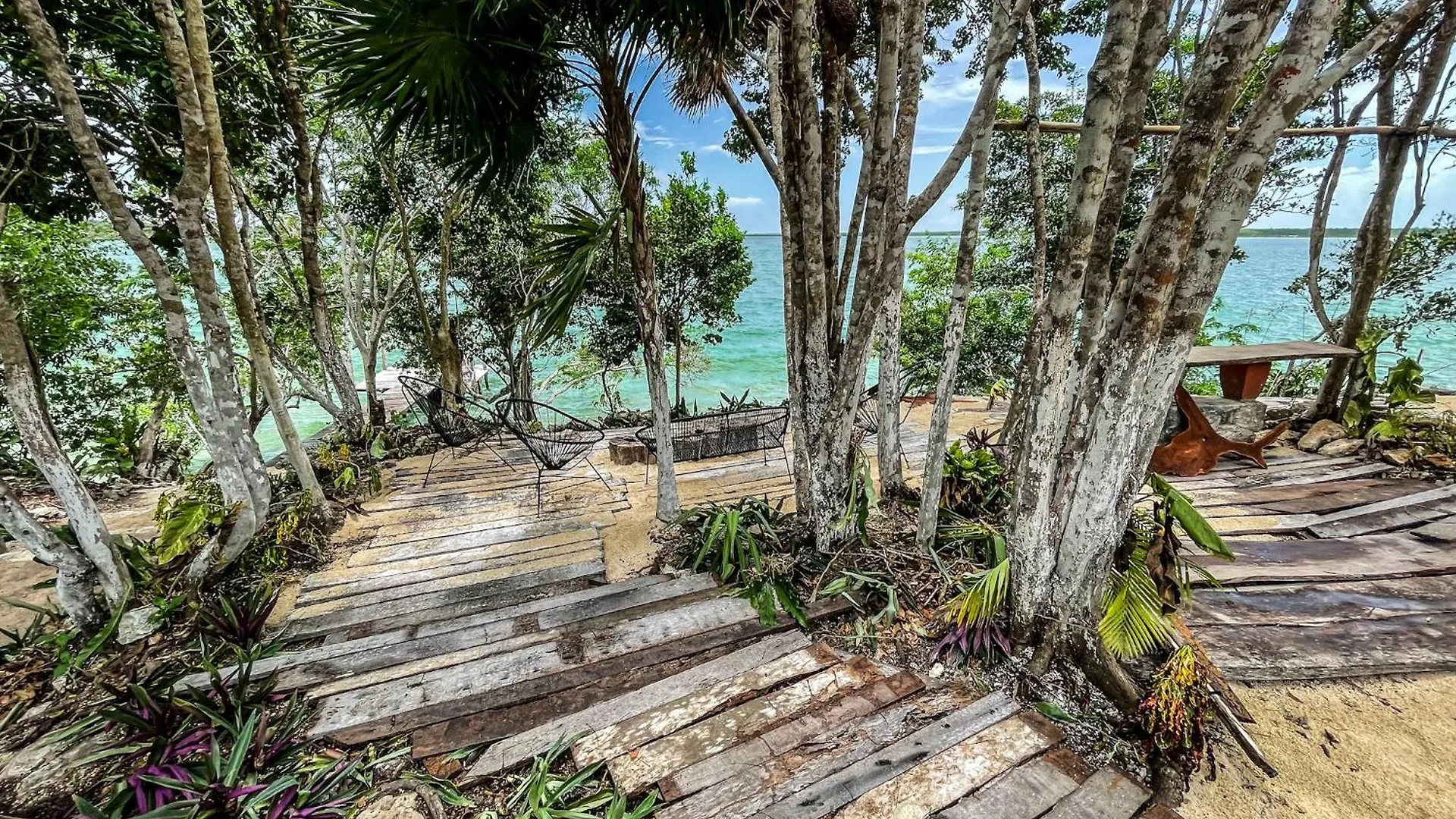 Hotel Bufo Alvarius Sanctuary Bacalar Buenavista  Mexico