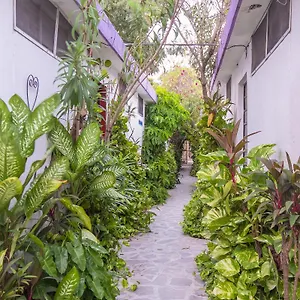 ** Hotel Aventura Mexico